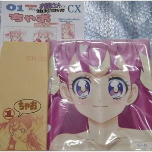 マークス 抱き枕カバー ちゃお 01 キュアワンダフル 犬飼こむぎ わんだふるぷりきゅあ! 新品未開封 封筒・健康診断書付