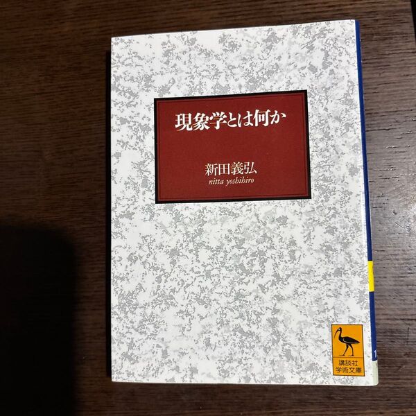 現象学とは何か フッサールの後期思想を中心として (講談社学術文庫 1035) 新田義弘/〔著〕