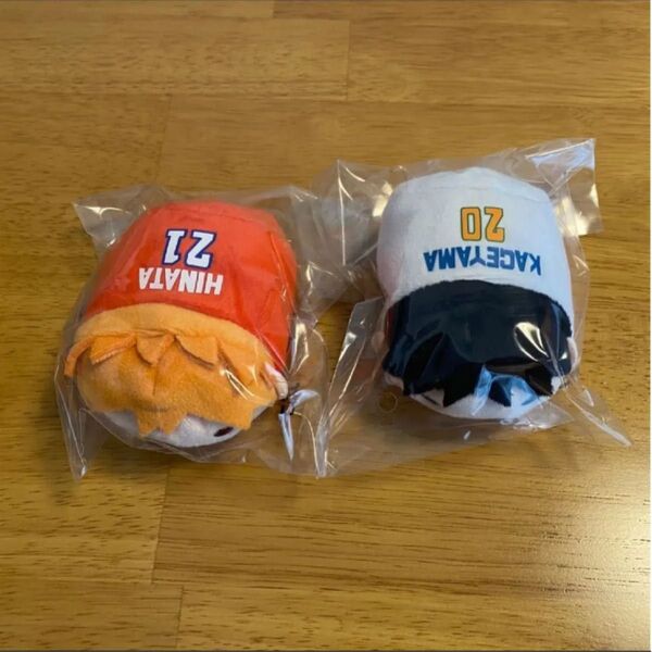 ハイキュー のるキャラ 日向翔陽&影山飛雄 10thver