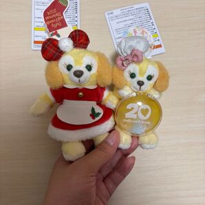 ディズニー クッキーアン クリスマス 2024 カラフルハピネス 20周年 ぬいぐるみバッジ ぬいぐるみチャーム ぬいば ぬいチャ