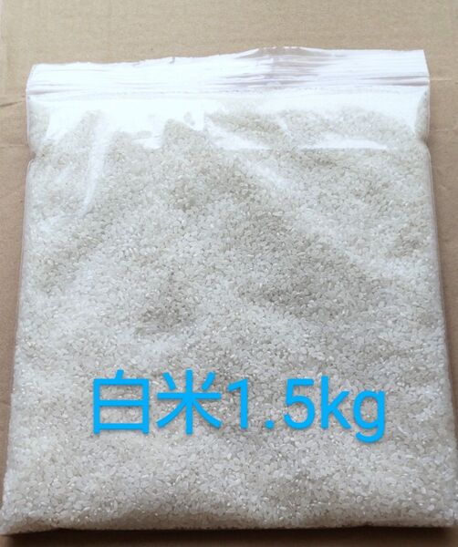 お米/白米1.5kg