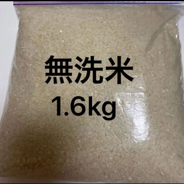 無洗米 白米 精米 お米 1.6kg
