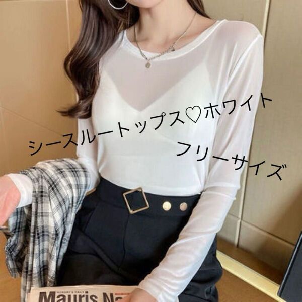 シースルー トップス シアー 透け感 カットソー 長袖 白 Tシャツ 無地 ホワイト 韓国 お洒落 レイヤード 重ね着 インナー