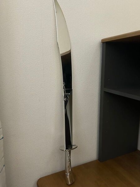 中国 太極拳 武器 剣キャリーバック付