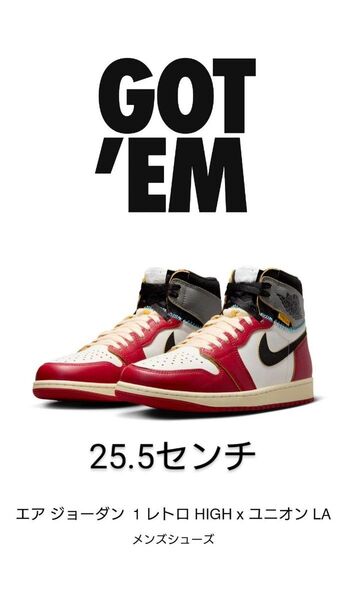 NIKE AIR JORDAN 1 HIGH OG "Lost and Found/Chicago" 25.5cm