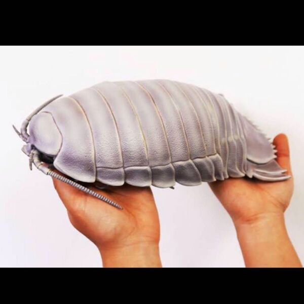 ネイチャーテクニカラー