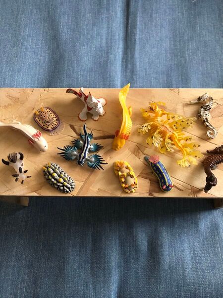ネイチャーテクニカラー