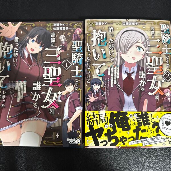 聖騎士ですが、高嶺の三聖女の誰かを酔った勢いで抱いてしまった件について(バンブーコミックス) 高野ケイ