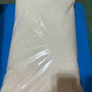 秋田県産ササニシキ白米 10kg