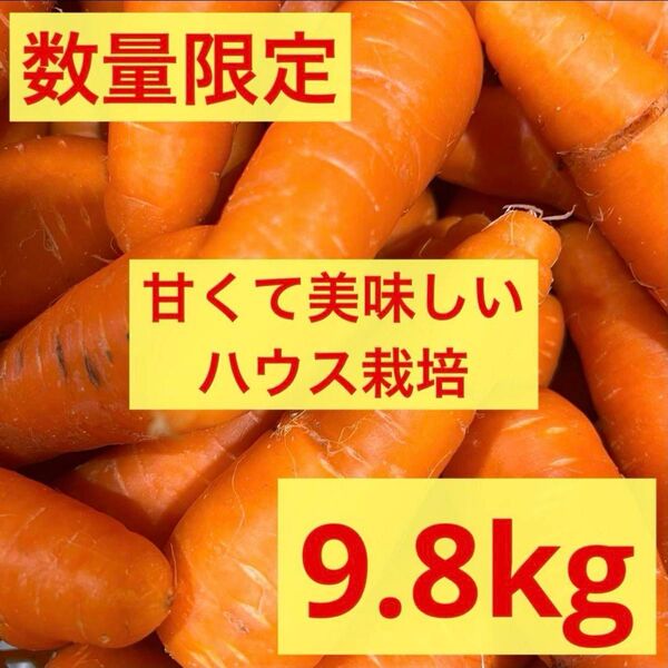 訳あり 人参 ハウス栽培 にんじん 産地直送 新鮮 規格外