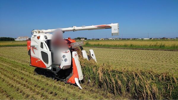 R6年度 三重県伊勢志摩産 純度100%コシヒカリ 玄米30kg