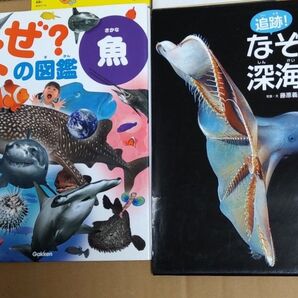 2冊なぜ ?の図鑑 魚 なぞの深海生物 絵本 海 水の生き物 学研 動物