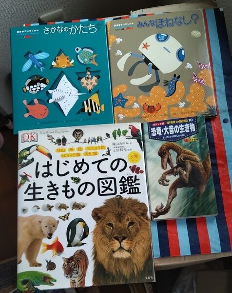 4冊絵本さかなのかたち みんなほねなし? ともながたろ はじめての生きもの図鑑 動物 魚 爬虫類 両生類 犬 猫 海の生物 折り紙