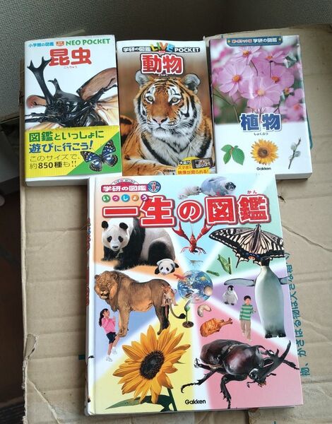 4冊図鑑 一生の図鑑 動物 植物 昆虫 学研ライブ 小学館 ネオポケット カブトムシ クワガタ 生き物 花