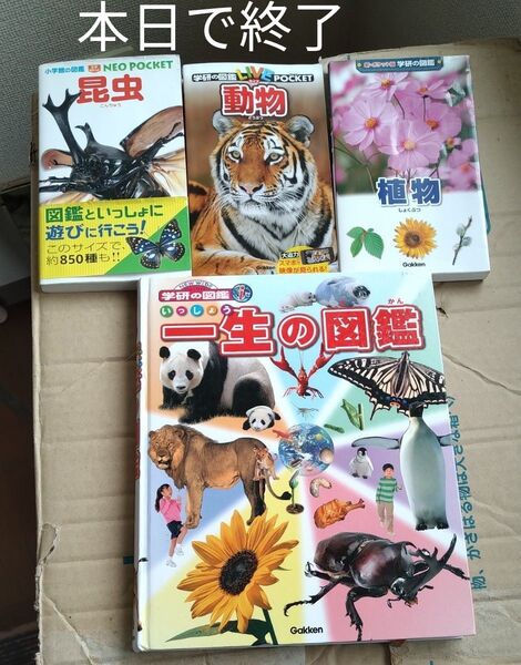 4冊図鑑 一生の図鑑 動物 植物 昆虫 学研ライブ 小学館 ネオポケット カブトムシ クワガタ 生き物 花