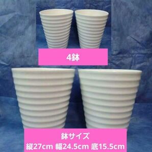 植木鉢 陶器鉢 D-2『IS-235』【4個】(洋ラン・胡蝶蘭・シンピジューム)