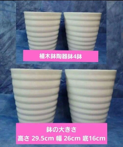 植木鉢 陶器鉢【AK-80L】A-1【4個】(ラン 洋ラン 胡蝶蘭 化粧鉢)