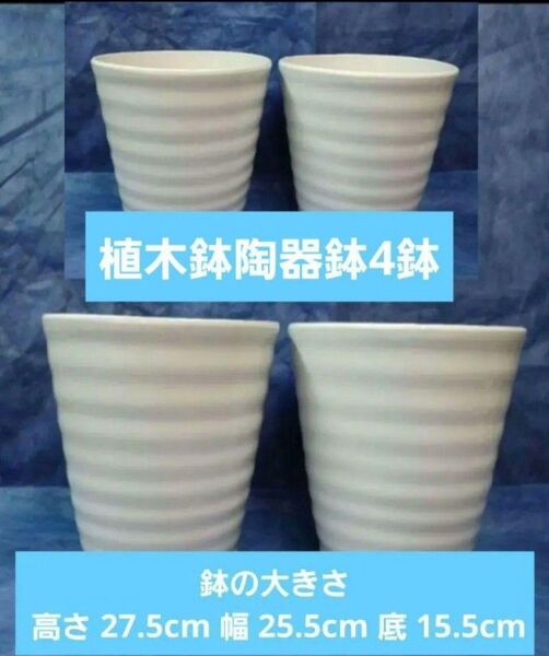 植木鉢 陶器鉢【AK-80】Z-13【4個】ラン 洋ラン 胡蝶蘭 化粧鉢 蘭鉢 植木鉢(洋ラン・胡蝶蘭・シンピジューム・カトレア)