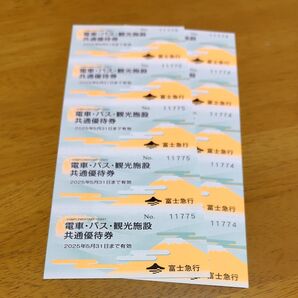 富士急ハイランドフリーパス2セット分