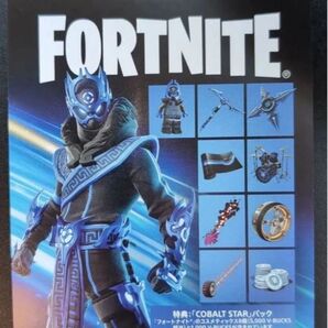 フォートナイト PS5 Cobalt Starパック Fortnite 特典付きフライヤー