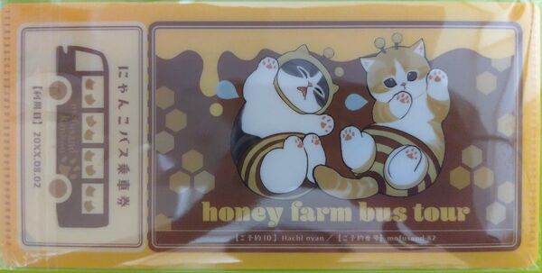 サメにゃん撮影会 チケットファイル モフサンド はちにゃん