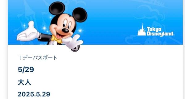 2025.5.29 東京ディズニーランド グッズ購入用