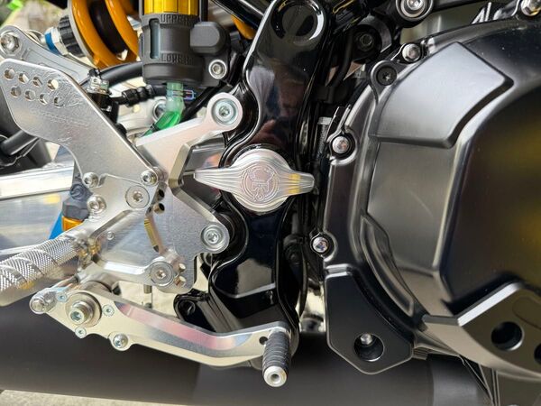 Z900RS/CAFE用 3D フレームピボットカバー フレームキャップ Wheelie ウィリー タイプ品