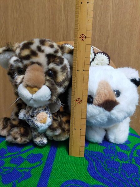 オーロラ ヒョウ親子 セキグチ ライオン ぬいぐるみ セット