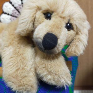 週末価格☆ Kosen ケーセン レトリバー ぬいぐるみ 中古