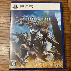 モンスターハンターワイルズ PS5