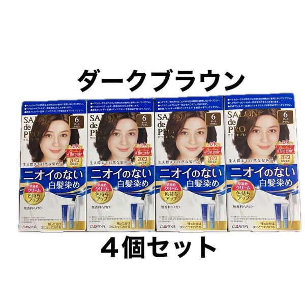 サロンドプロ ニオイのない白髪染め 早染めクリーム 6 ダークブラウン