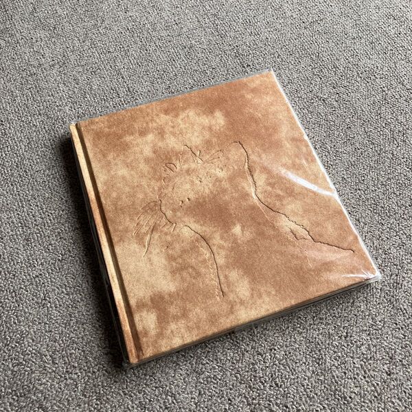 深瀬昌久: Afterword(2nd edition)