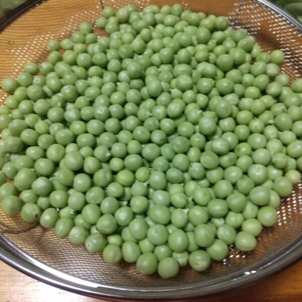 うすいえんどう むきみ 無農薬栽培