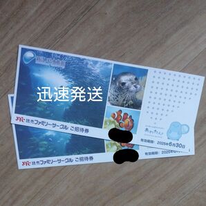 新江ノ島水族館ご招待券 2枚セット チケット