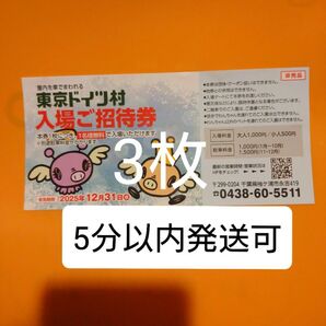 東京ドイツ村 入場ご招待券 チケット3枚 入園ご招待券 入園券 割引券 クーポン 無料券 無料チケット