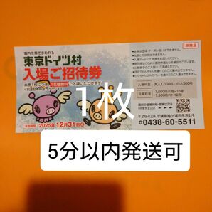 東京ドイツ村 入場ご招待券 チケット1枚 入園ご招待券 入園券 割引券 クーポン 無料券 無料チケット