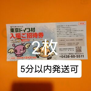 東京ドイツ村 入場ご招待券 チケット2枚 入園ご招待券 入園券 割引券 クーポン 無料券 無料チケット