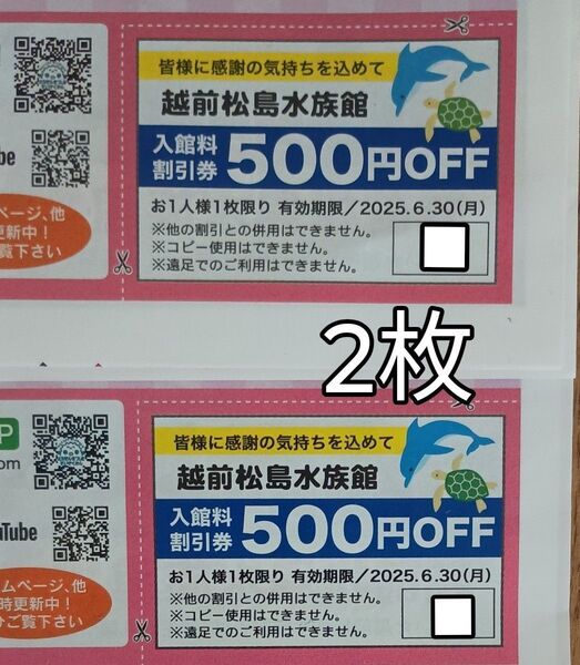越前松島水族館 入館料割引券 500円OFF 2枚
