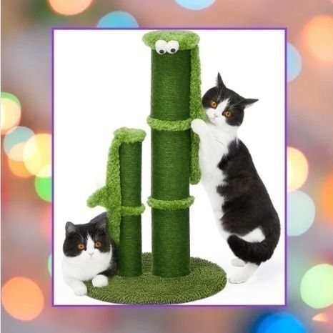 可愛いおめめ付き 猫 爪研ぎ つめとぎ 爪とぎポール スクラッチ カシャカシャ