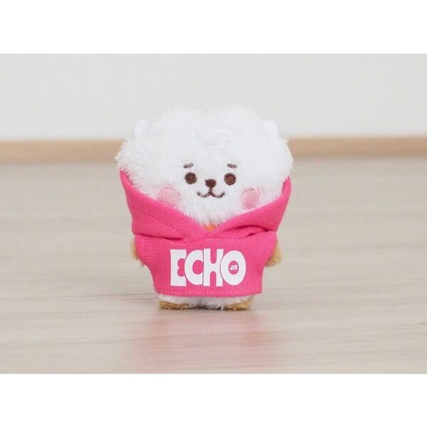 BT21 RJ たっとんマスコット 服 bts ジン jin ECHO エコー