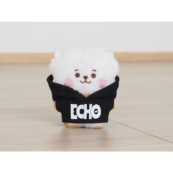 BT21 RJ たっとんマスコット 服 bts ジン jin ECHO エコー