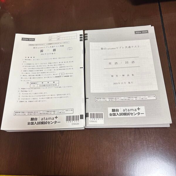 駿台atama+ プレ共通テスト 理系.地理のみ旧課程 問題 解答解説集