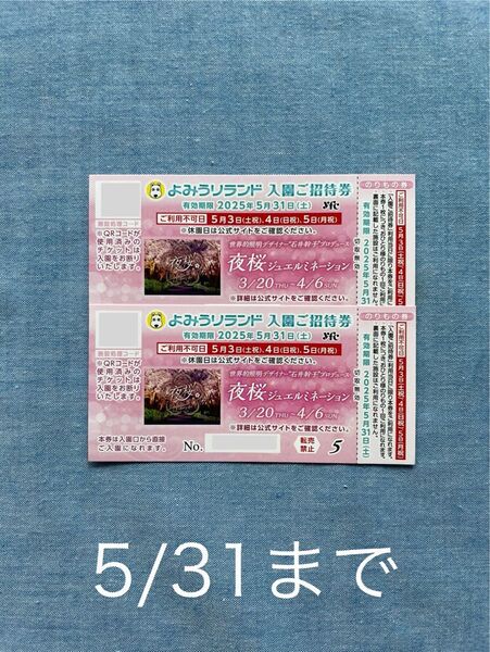 よみうりランド 入園ご招待券 チケット 2枚