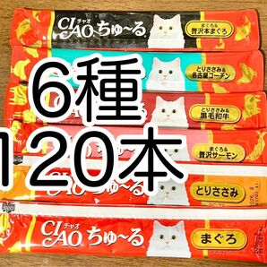 チャオ ちゅーる まぐろ ささみ 贅沢 名古屋コーチン バラエティ 120本 国産 いなば 猫用 おやつ ちゅ~る