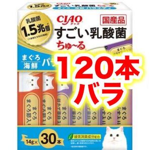 すごい乳酸菌 ちゅ~る まぐろ海鮮バラエティ120本 バラ チャオ CIAO ちゅーる