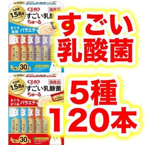 CIAO すごい乳酸飲料菌 ちゅ~る まぐろ・かつお 海鮮 バラエティ 120本 バラ ちゅーるチャオ すごい乳酸菌ちゅ~る