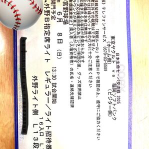 東京ヤクルト vs ソフトバンク 外野指定席ライト レギュラー 6月8日 13時30分試合開始 2席連番