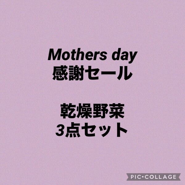 Mothers day 感謝セール 乾燥野菜3点セット 徳島県産無添加 各10g入り 乾燥剤入り ※11日までのお買い得品