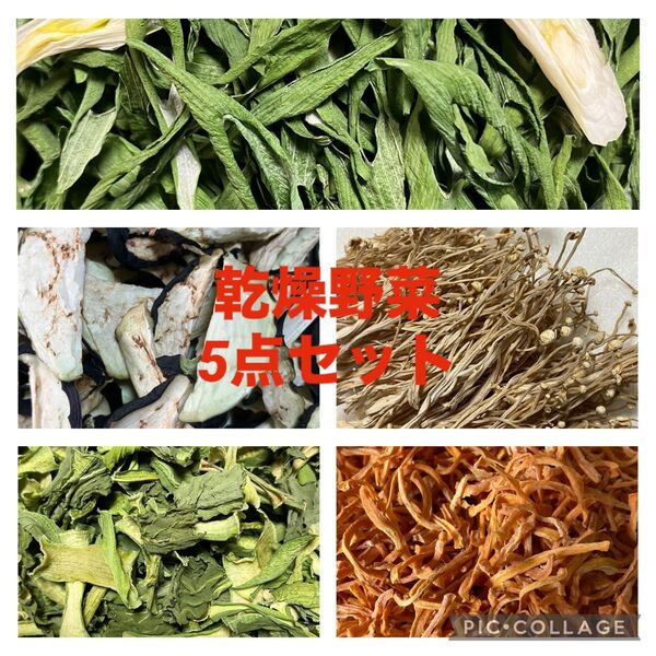 乾燥野菜5点セット【徳島県産・国内産】無添加 なす・ねぎ・えのき・人参・小松菜 各10g入り 乾燥剤入り ※週末価格 お値下げ