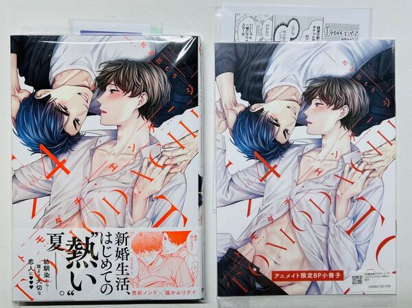 トモダチエンゲージ 4/和良比もち アニメイト小冊子付